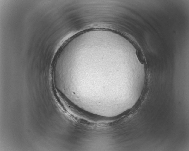 X0000076081133200610202033