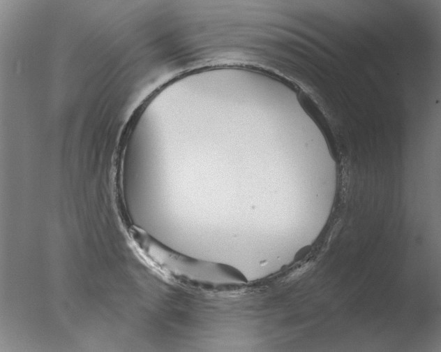 X0000076081134200610202033