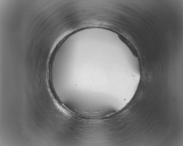 X0000076081136200610202033