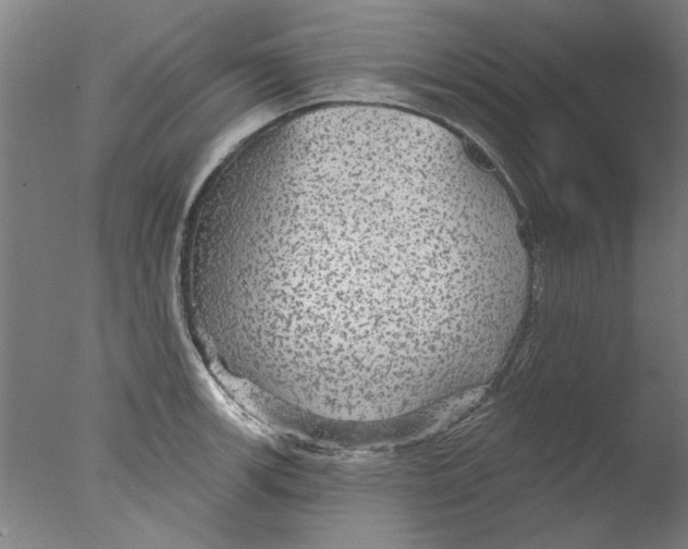 X0000076081139200610202033