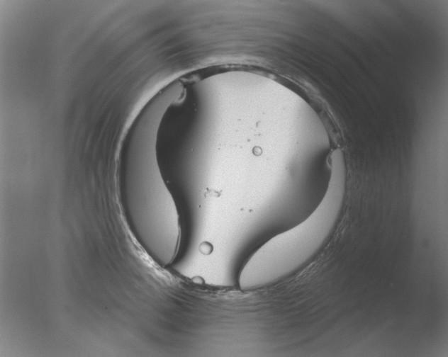 X0000076081140200610202033