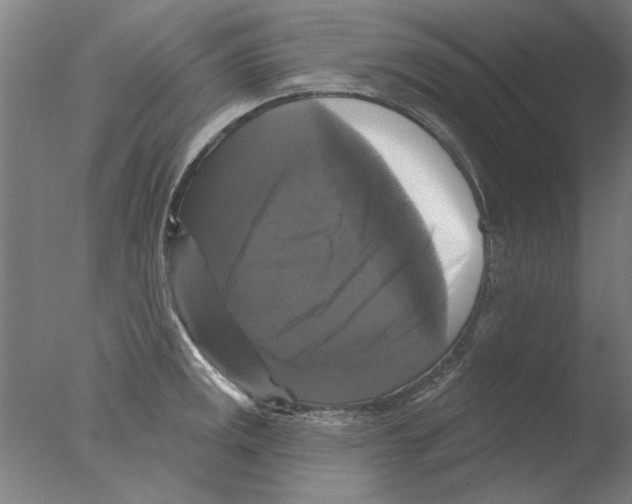 X0000076081141200610202033