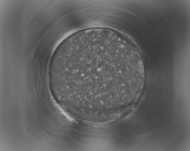 X0000076081142200610202033