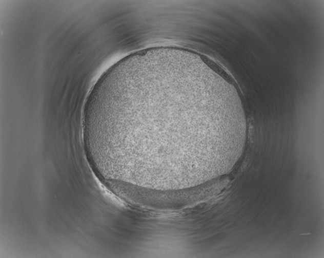 X0000076081143200610202033