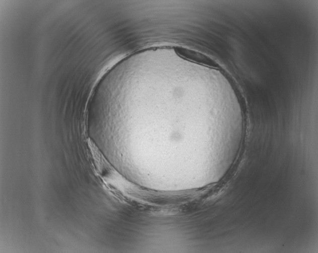 X0000076081145200610202033