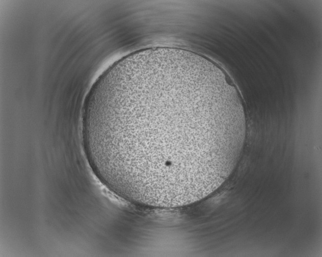 X0000076081147200610202033