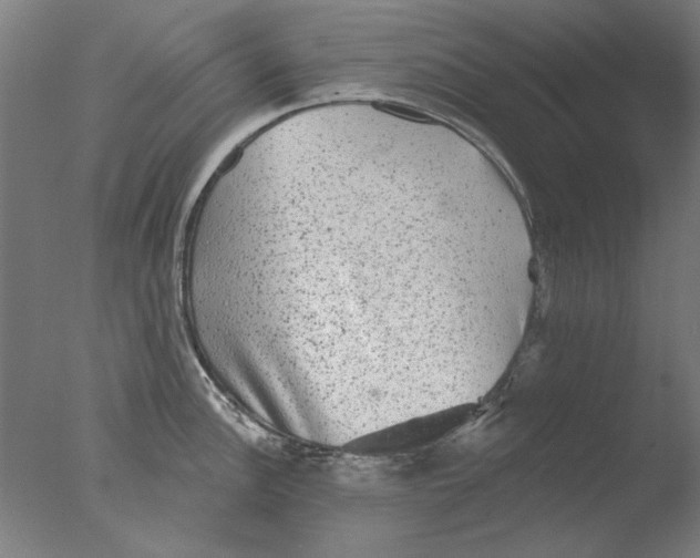 X0000076081148200610202033