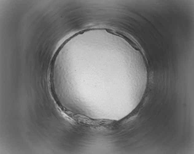 X0000076081149200610202033