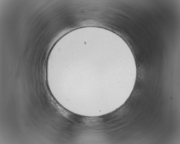 X0000076081150200610202034