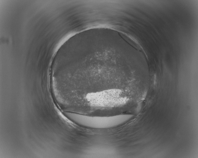 X0000076081151200610202034