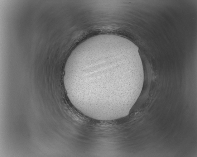 X0000076081153200610202033