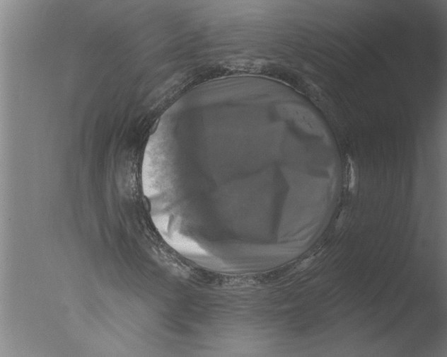 X0000076081154200610202033