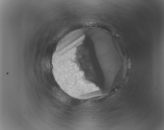 X0000076081155200610202033