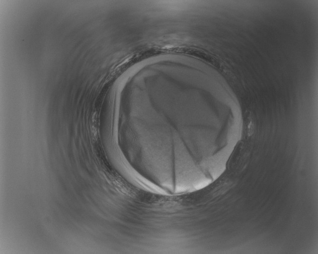 X0000076081156200610202033