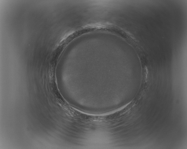 X0000076081158200610202033