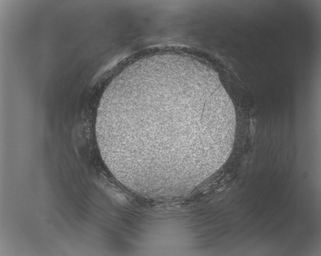 X0000076081159200610202033