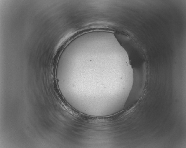 X0000076081164200610202033