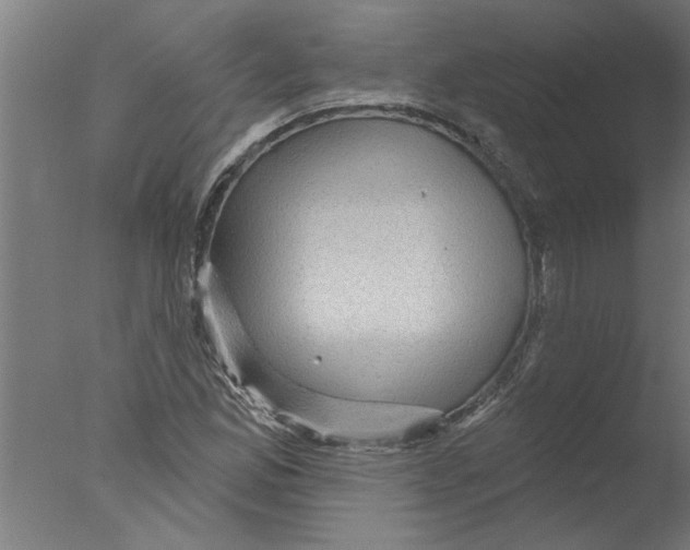 X0000076081165200610202033