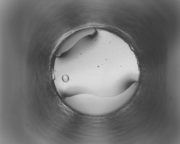 X0000076081168200610202032