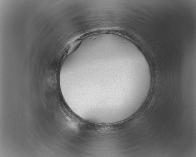 X0000076081169200610202032