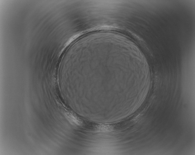 X0000076081170200610202032