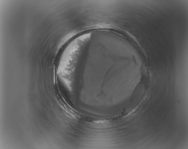 X0000076081171200610202032