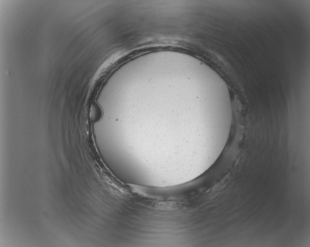 X0000076081172200610202032