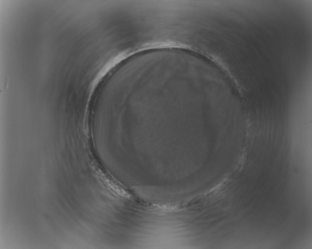 X0000076081173200610202032