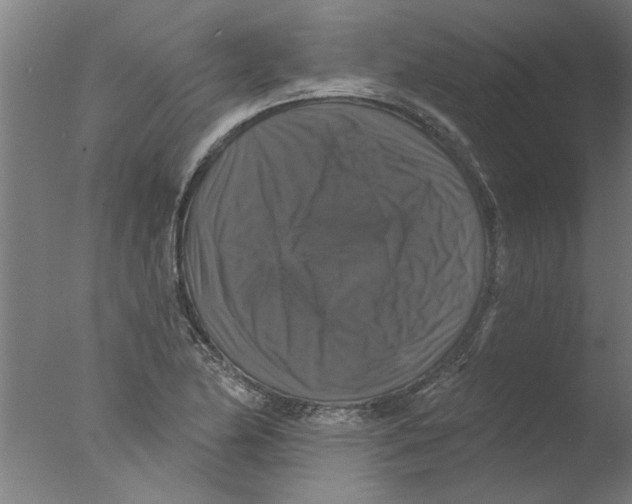 X0000076081174200610202032