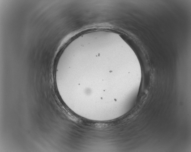 X0000076081176200610202032