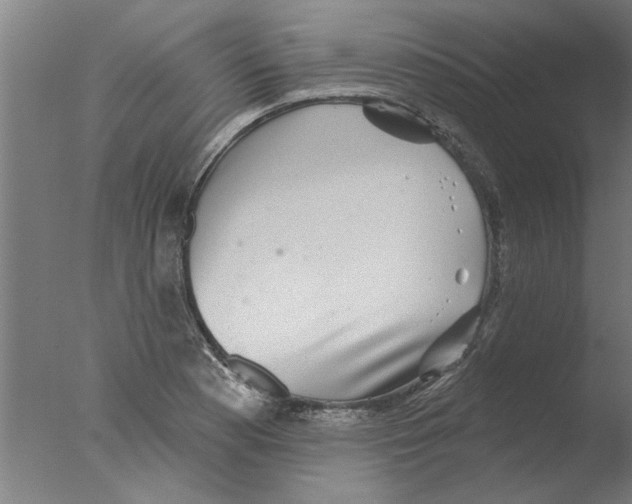 X0000076081177200610202032