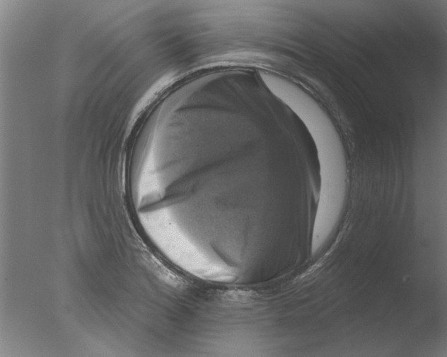 X0000076081180200610202032