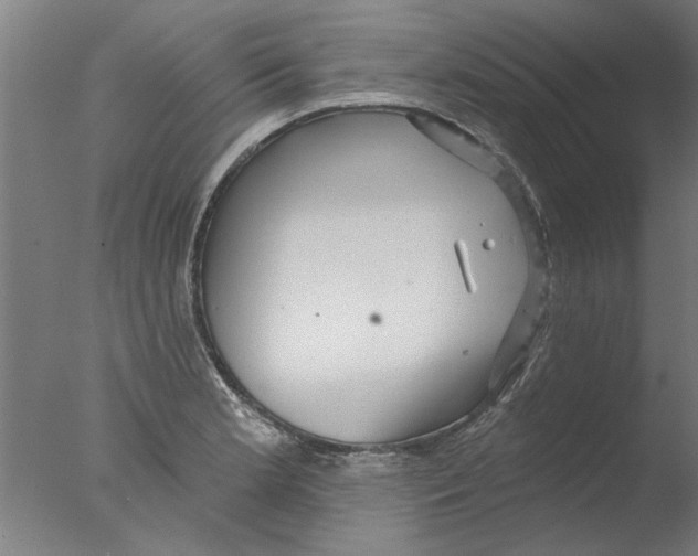 X0000076081181200610202032