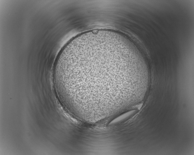 X0000076081182200610202032