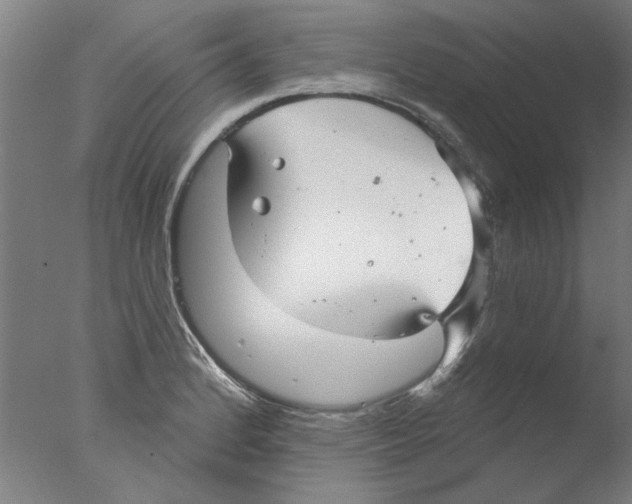 X0000076081184200610202032