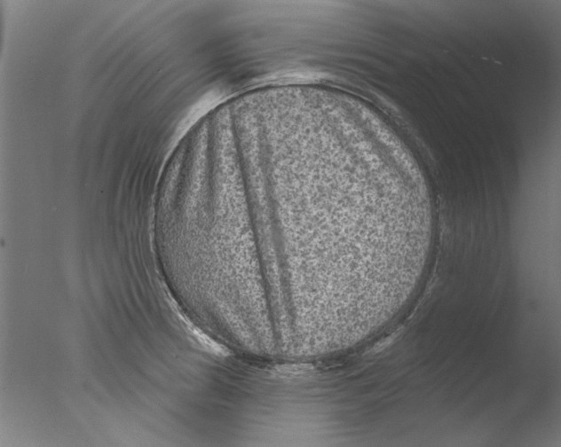 X0000076081186200610202032