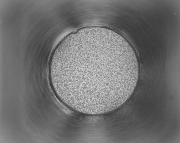 X0000076081187200610202032