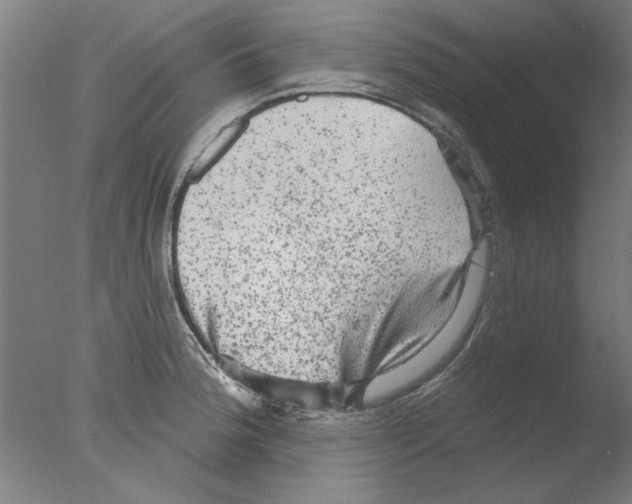 X0000076081188200610202032