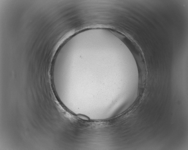 X0000076081189200610202032