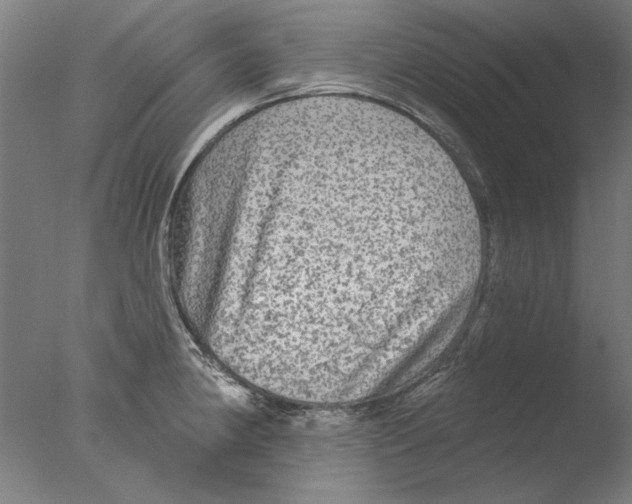 X0000076081190200610202032