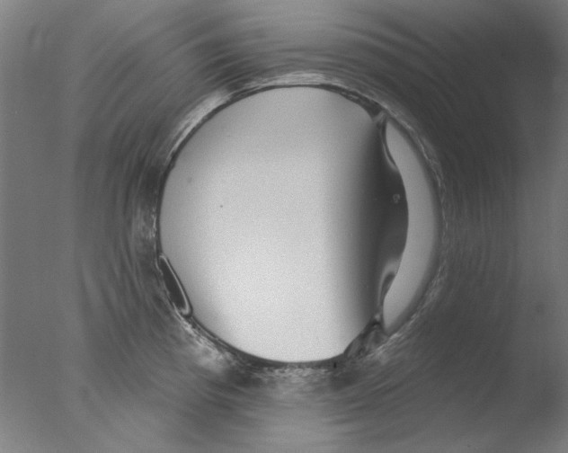 X0000076081193200610202032