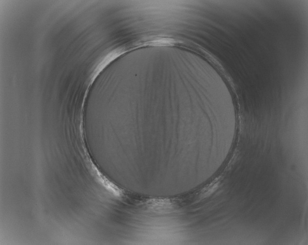 X0000076081194200610202032