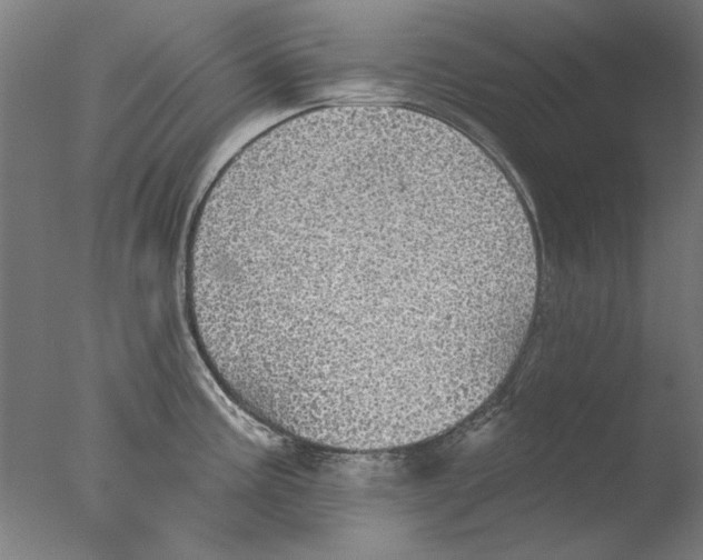 X0000076081195200610202032