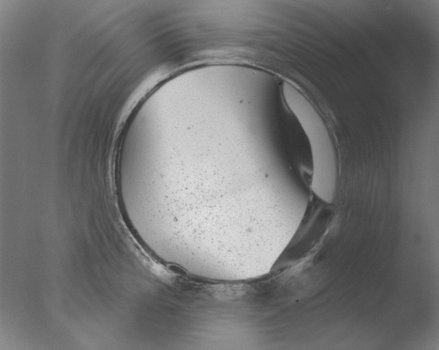 X0000076081196200610202032