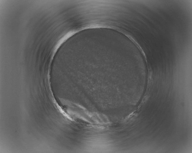 X0000076081197200610202032