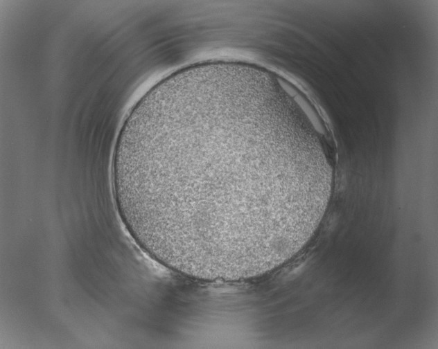 X0000076081199200610202032