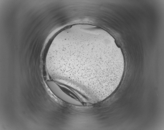 X0000076081200200610202032