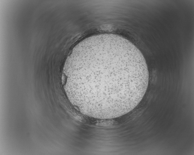 X0000076081201200610202031