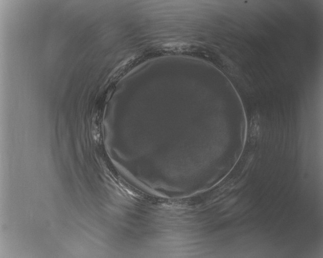 X0000076081202200610202031