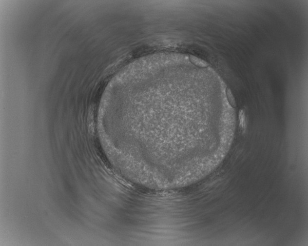 X0000076081203200610202031